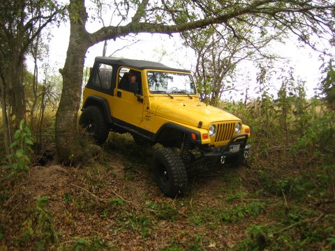 2001 Jeep Wrangler - A yellow 2001 Jeep Wrangler navigates a wooded area with a driver visible inside.
