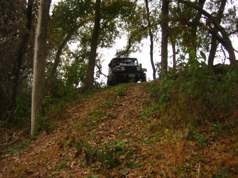 2001 Jeep Wrangler - A black Jeep Wrangler drives up a wooded incline on a dirt path.