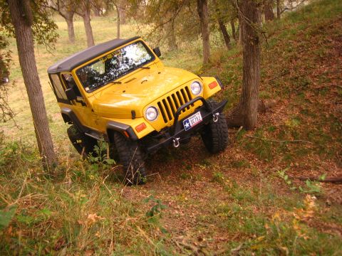 2001 Jeep Wrangler - A yellow 2001 Jeep Wrangler navigates a wooded, off-road trail.