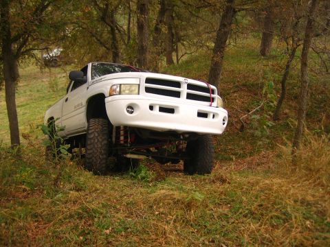 2001 Jeep Wrangler - A lifted white pickup truck is parked on a grassy incline surrounded by trees.