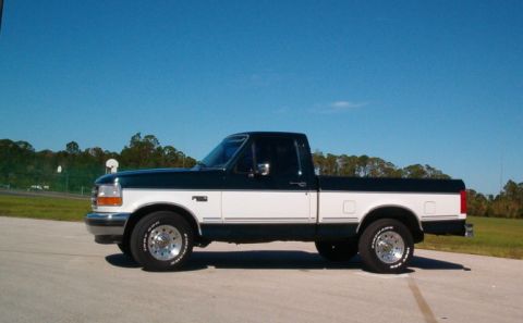 1995 Ford F-150 - This two-tone Ford F-150 pickup truck is shown from the side under a clear blue sky.