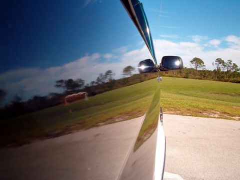 1995 Ford F-150 - Reflection of a grassy hill and trees in the side of a dark vehicle, with a side mirror visible.