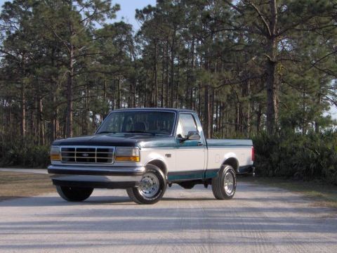 1995 Ford F-150 - This 1995 Ford F-150 pickup truck is shown in a three-quarter front view, a two-tone paint scheme.