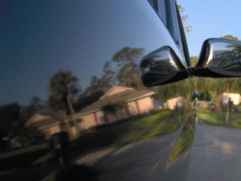 1995 Ford F-150 - Reflection in the side of a black truck shows a house and trees. The registry claim of a 1995 Ford F-150 is not visually verifiable.