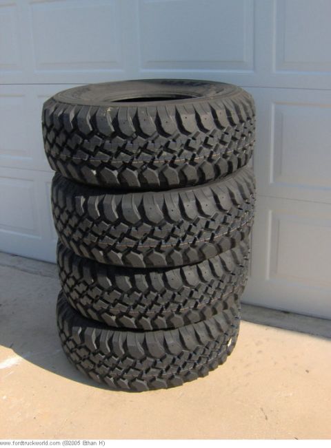 1995 Ford F-150 - 33x12.5x15 Buckshit Mudders