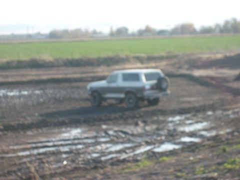 1989 Ford Bronco - This 1989 Ford Bronco navigates a muddy field, its two-tone paint and rear-mounted spare tire clearly visible.