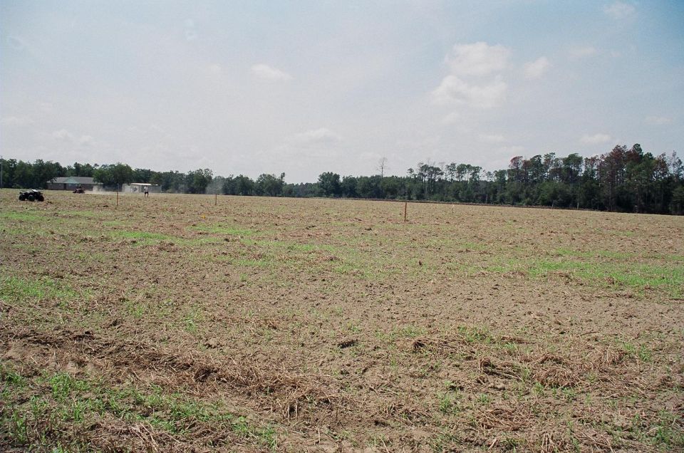 Farm field with a house and two vehicles in the distance under a cloudy sky