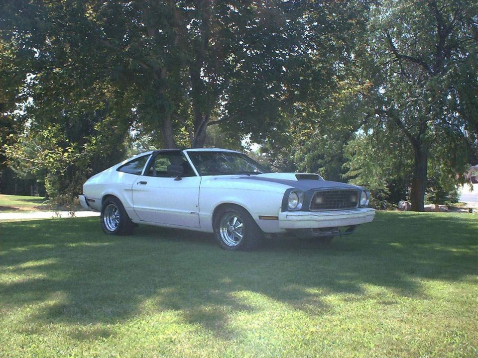 White Ford Mustang II with a dark hood scoop and aftermarket wheels, parked on grass