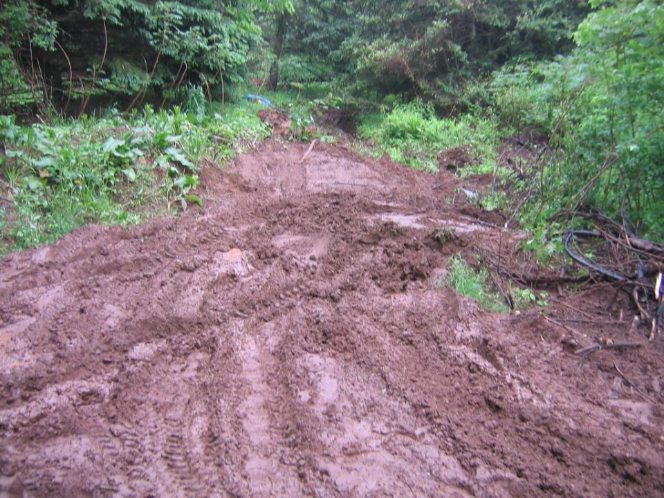 Muddy churned-up dirt trail through green woods