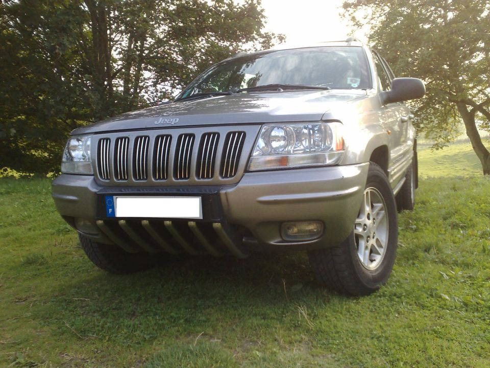 note the grille chromed inserts
