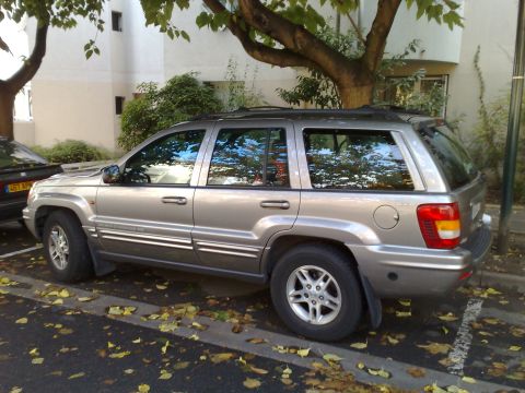 1991 Ford Crown Victoria - A silver Jeep Grand Cherokee is parked on a street next to another vehicle, with fallen leaves scattered around.