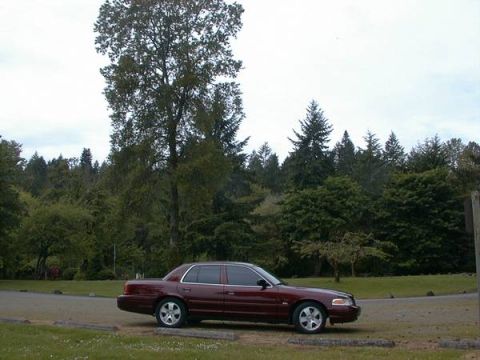 2004 Ford Crown Victoria - A maroon 2004 Ford Crown Victoria is parked on a gravel lot with trees in the background.