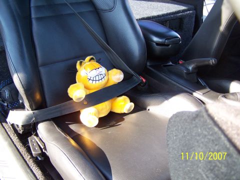 1995 Ford Probe - Garfield plush toy in car interior, seatbelt fastened. Photo dated 11/10/2007.