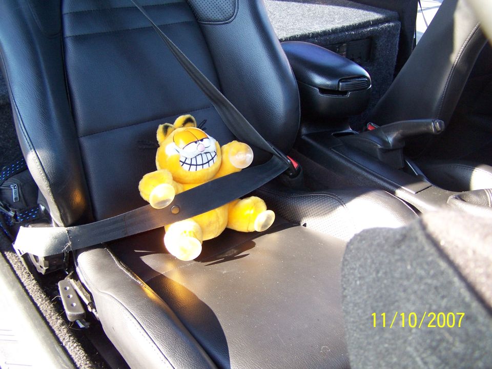 Garfield plush toy secured by seatbelt in car interior. Date stamp 11/10/2007