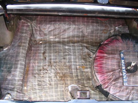 1966 Ford Mustang - The trunk interior features plaid lining and a spare tire cover with 'MUSTANG' text visible.