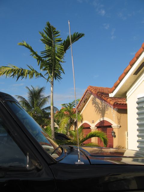 1994 Ford Bronco - A tall CB antenna extends from the hood of a black vehicle, with palm trees and a house in the background.