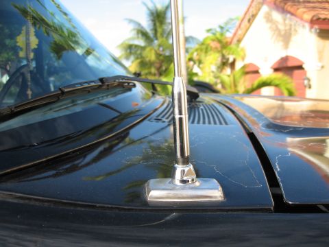 1994 Ford Bronco - Close-up of a CB antenna on a vehicle's hood, with palm trees and a house in the background.