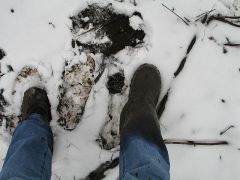 1995 Ford Bronco - Footprints in the snow show a path through mud and slush.