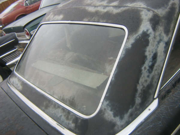 1963 Ford Galaxie rear window and peeling paint on roof. Another car is visible in the background