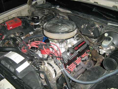 1988 Mercury Grand Marquis - Close-up view of an engine bay Ford branded valve covers and a chrome air cleaner assembly.