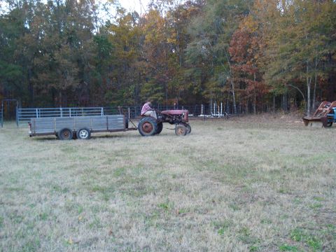 1967 Ford F-250 - A person drives a red tractor pulling a long, wooden trailer through a field during autumn.