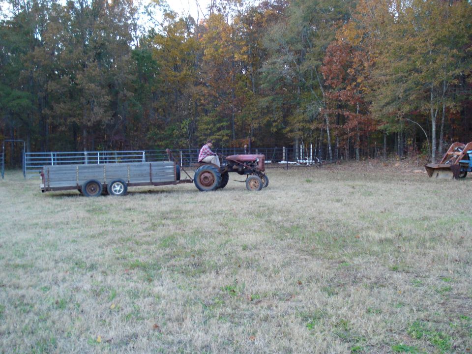 Red tractor towing a wooden trailer across a grassy field with trees in the background