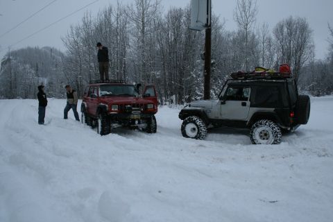 2003 Jeep TJ - Two Jeep SUVs are parked in a snowy landscape with trees in the background.