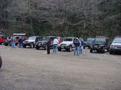 1979 Ford Bronco - A group of Jeeps are gathered in an outdoor parking area.