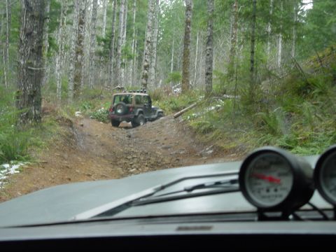 1979 Ford Bronco - Driving a Jeep Wrangler off-road through a forest with another vehicle ahead.