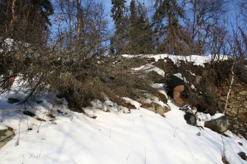 2003 Jeep TJ - A person clad in brown pants and a dark jacket navigates a snowy incline amidst sparse trees and brush.