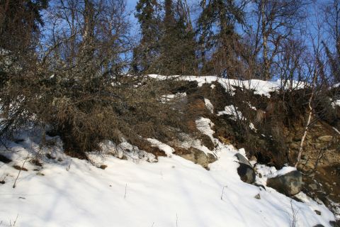 2003 Jeep TJ - Winter scene on a snowy hillside with trees and rocks.