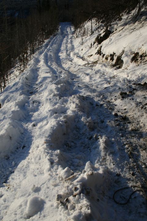 2003 Jeep TJ - Tire tracks mark a path through the snow on a remote dirt road, suggesting recent vehicle passage.