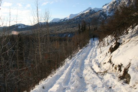 2003 Jeep TJ - A snowy mountain road winds through trees, showing tire tracks from a vehicle that has passed.