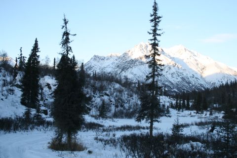 2003 Jeep TJ - A winter scene unfolds with snow-covered mountains and dark pine trees under a bright blue sky.