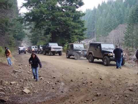 1979 Ford Bronco - A line of off-road vehicles, including a black Ford Bronco, travels down a wooded dirt road.
