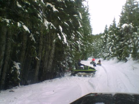 1993 Ford Bronco - Several snowmobiles navigate a snow-covered path through a dense, snow-laden forest.