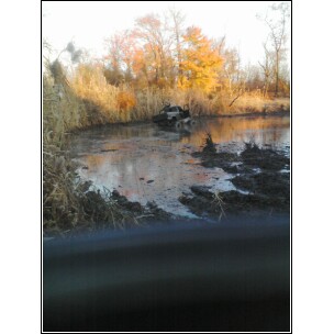 1995 Dodge 1500 - An ATV is seen partially submerged in a body of water, surrounded by reeds and autumn foliage.