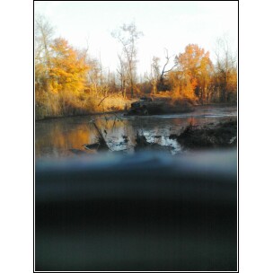 1995 Dodge 1500 - Autumn trees reflected in muddy water.