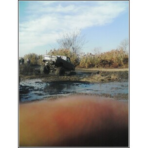 1995 Dodge 1500 - A truck is stuck in a muddy area, surrounded by vegetation under a partly cloudy sky.
