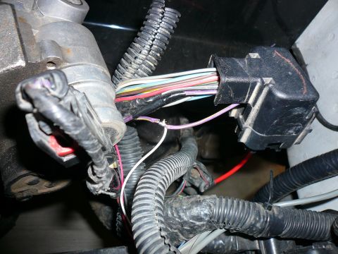 1996 Ford Probe - Close-up view of a vehicle's engine wiring harness, showing various colored wires and electrical connectors.