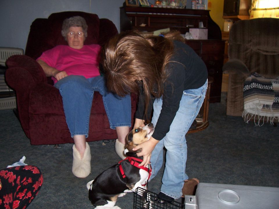 Woman in jeans and black shirt pets a beagle dog wearing a red harness. An older woman sits in a recliner behind them