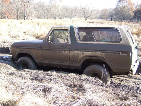 1979 Ford Bronco - This 1978 Ford Bronco is stuck deep in the mud and dry vegetation.