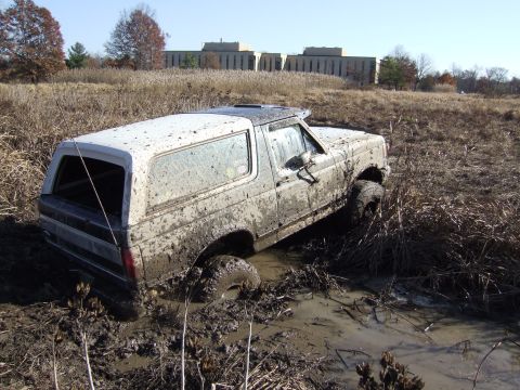 1979 Ford Bronco - This 1979 Ford Bronco is stuck in a muddy field with reeds growing around it.