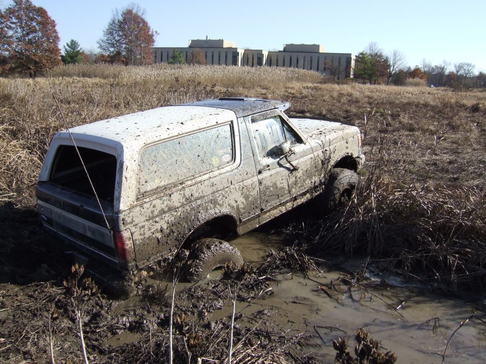 1979 Ford Bronco stuck in mud and reeds, front passenger side wheel deep in muck
