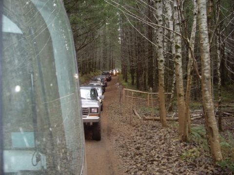 1979 Ford Bronco - A convoy of Ford Broncos navigates a wooded dirt road, suggesting an off-road excursion.