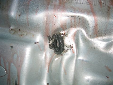 1973 Ford F-100 - A close-up view of a transmission pan shows a bolt and some reddish fluid stains.