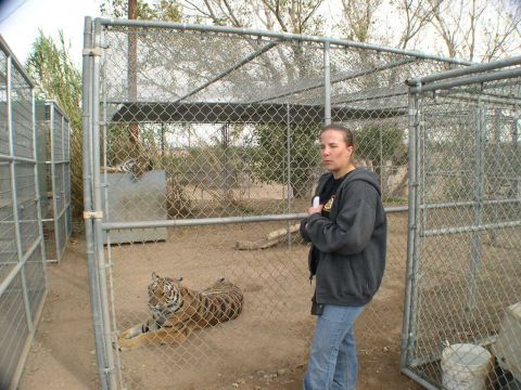 2007 Toyota FJ Cruiser - A woman observes tigers in their enclosures at a wildlife sanctuary.