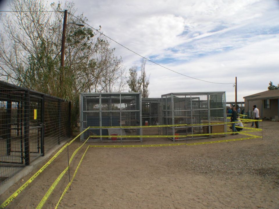 Outdoor enclosures with yellow caution tape in front of them. Some people are visible near the enclosures