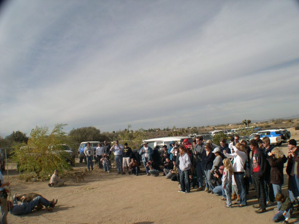 Group of people gathered around several vehicles, including a 2007 Toyota FJ Cruiser, in a desert setting