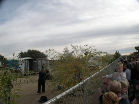 2007 Toyota FJ Cruiser - A group of people observe animal transport trailers under a cloudy sky.